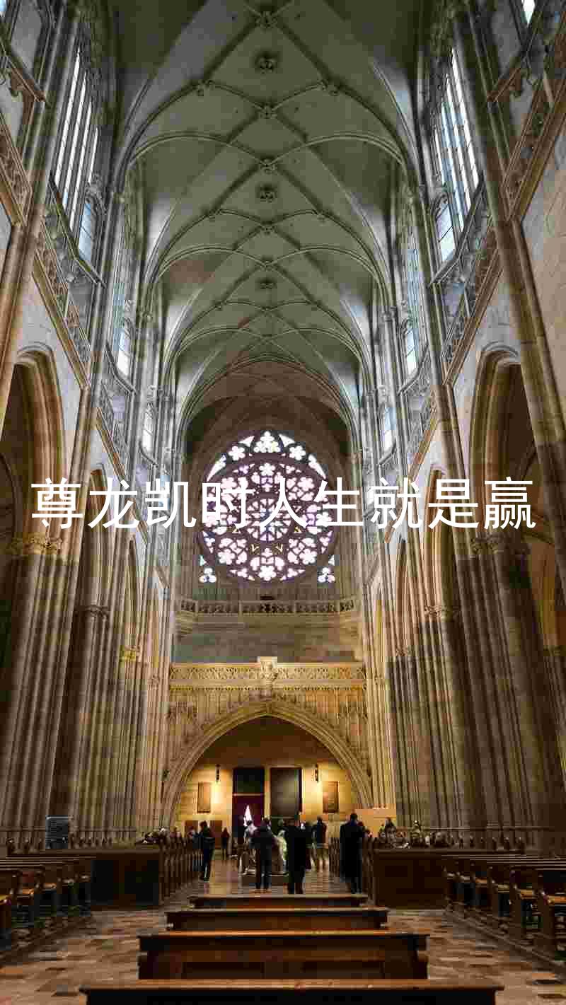 尊龙凯时人生就是赢