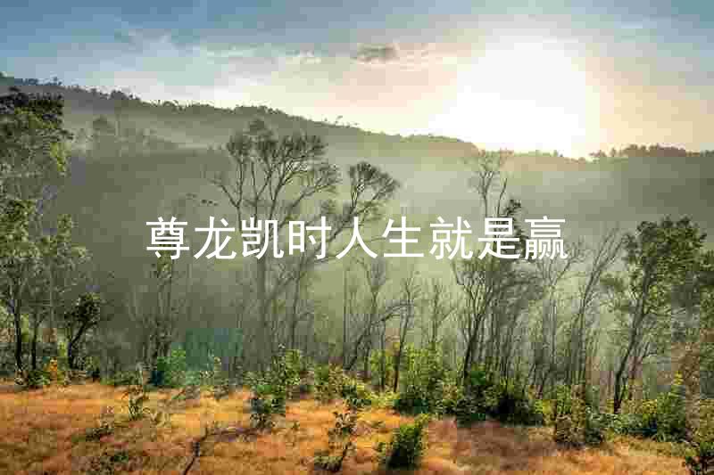 尊龙凯时人生就是赢