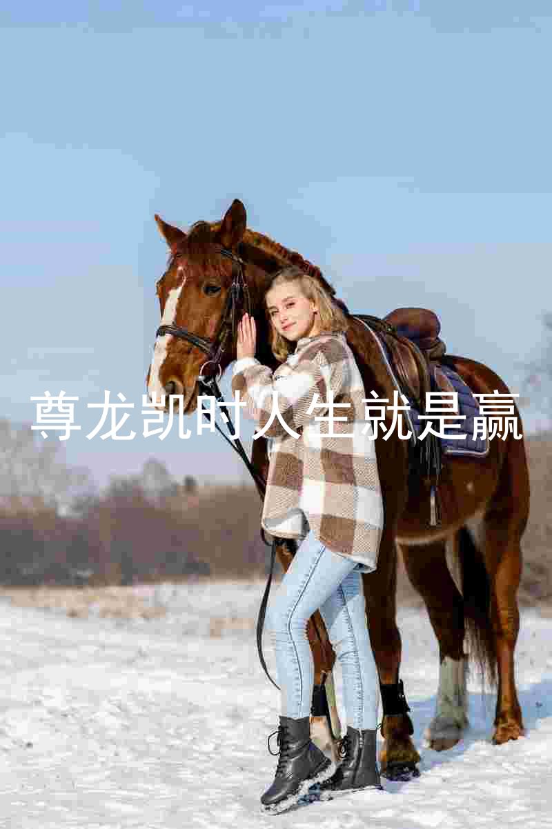 尊龙凯时人生就是赢