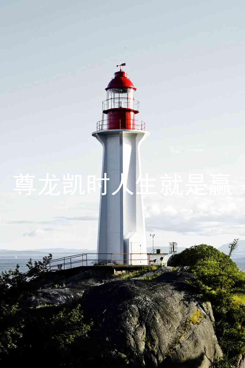 尊龙凯时人生就是赢