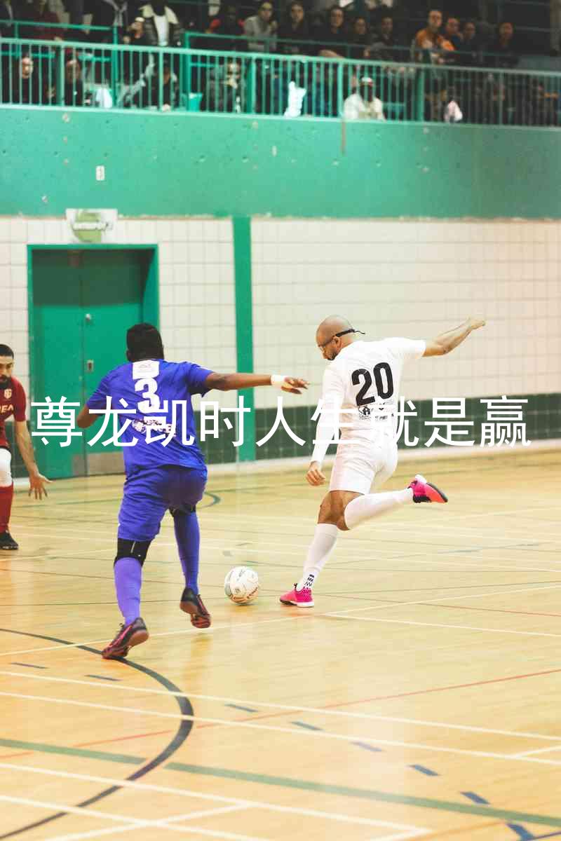 尊龙凯时人生就是赢